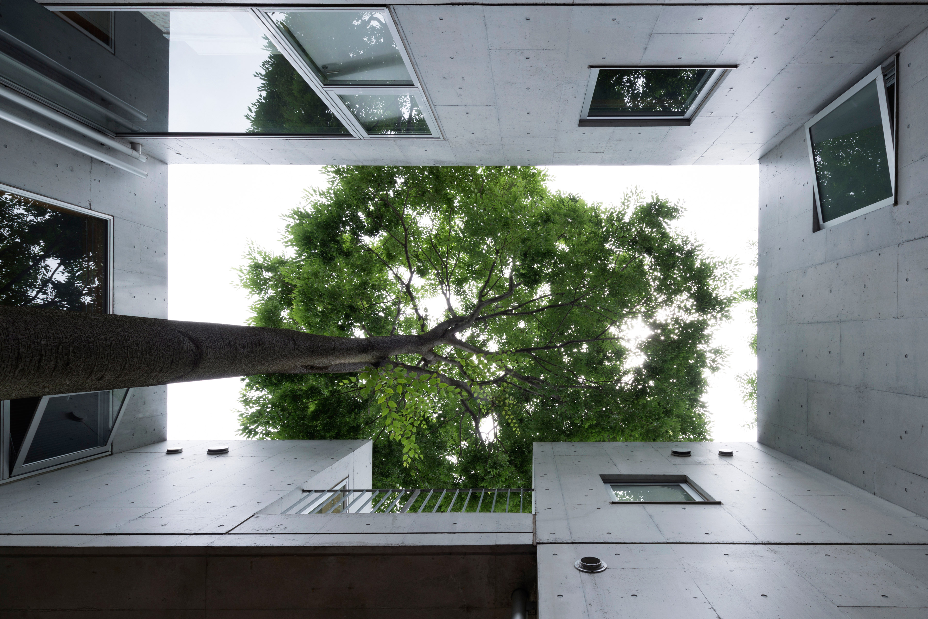 Photo of Stitch housing in Tokyo Japan by Manabu Chiba architects